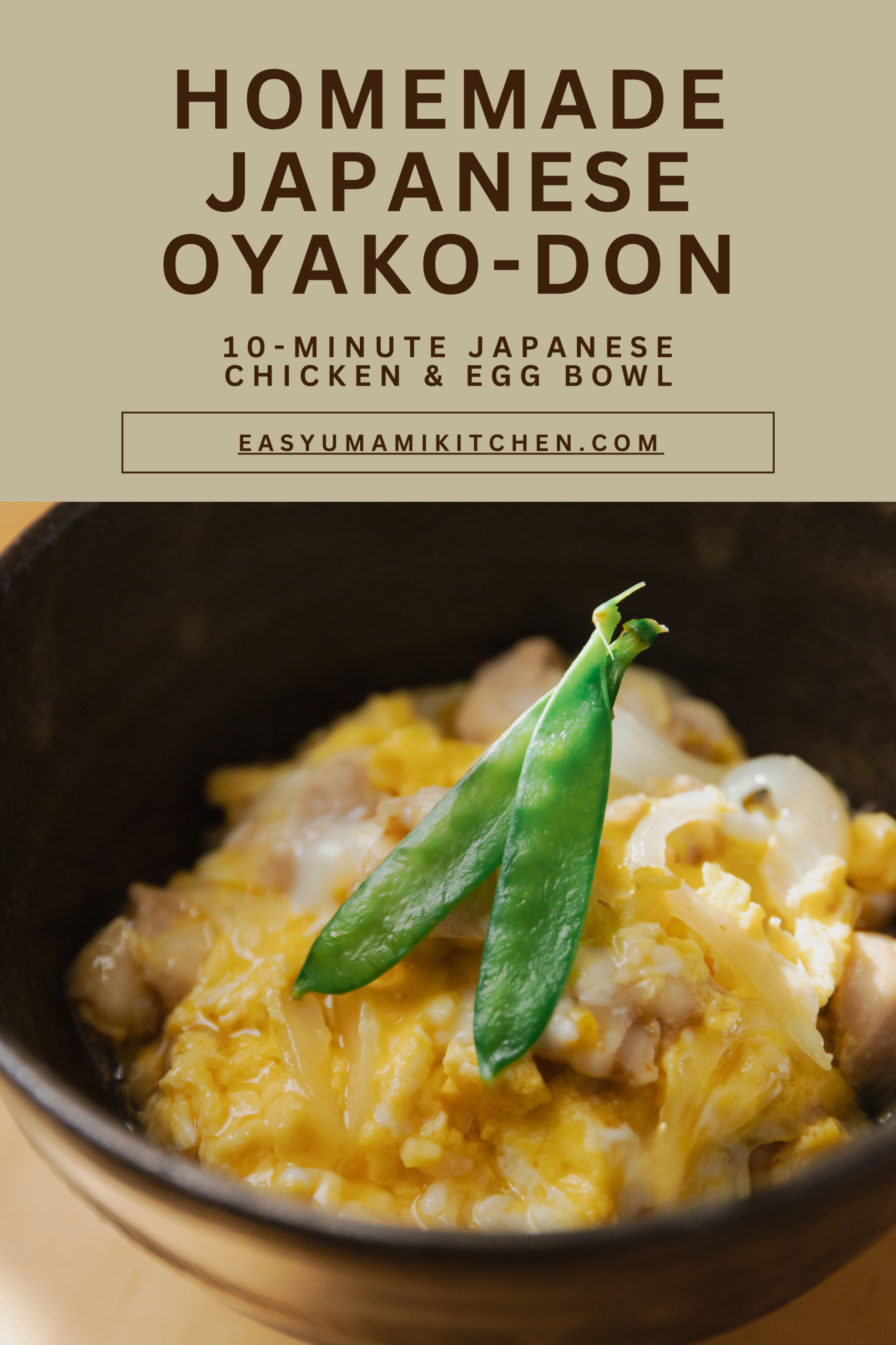 Homemade Japanese Oyako-don chicken and egg rice bowl with dashi