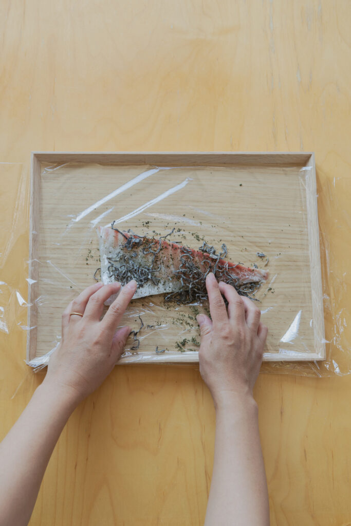 Homemade Japanese kobujime sliced fresh sea bream cured with shio-kombu on a plate